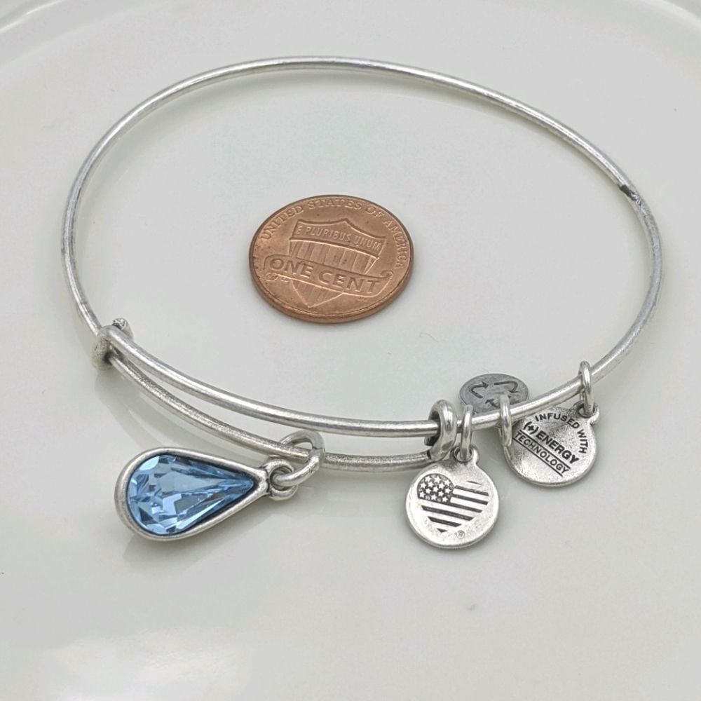 Alex Ani Rafaleian Silver Water Of Life Bracelet